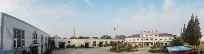 公司全景